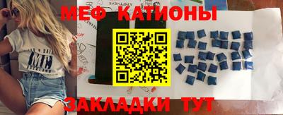 прущие грибы Будённовск