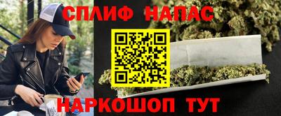 прущие грибы Будённовск