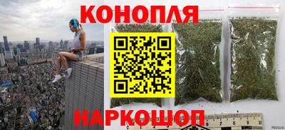прущие грибы Будённовск