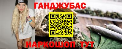 прущие грибы Будённовск