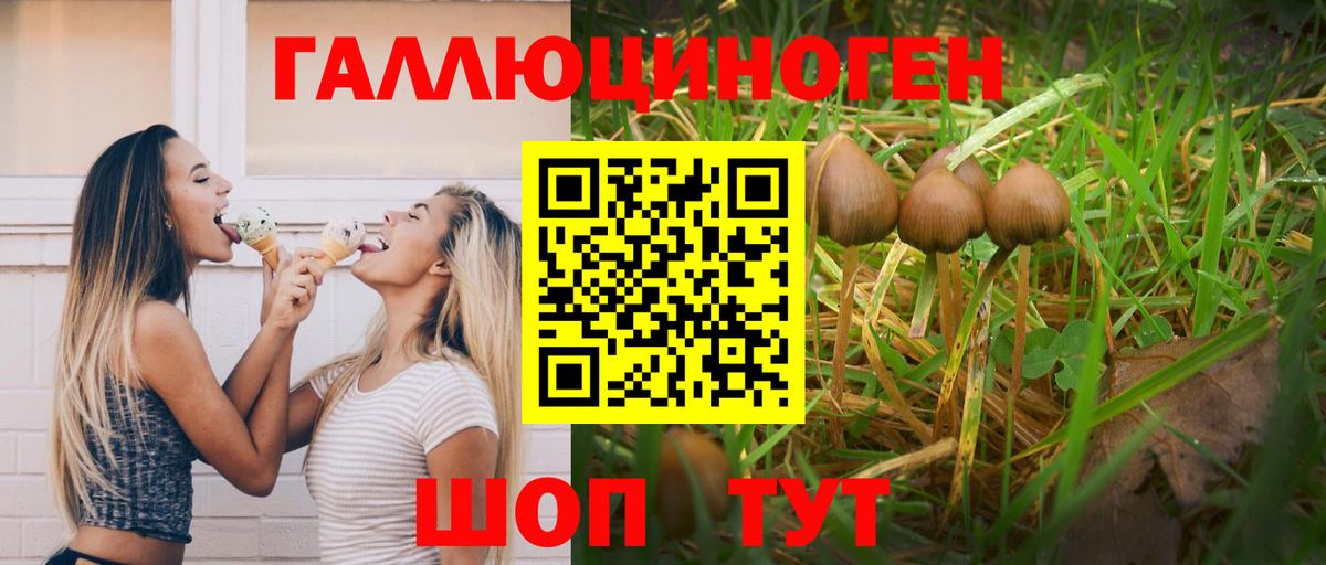 Шелехов  Псилоцибиновые грибы GOLDEN TEACHER  где купить   Вход с VPN 